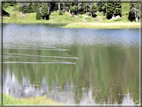 foto Lago di Antorno